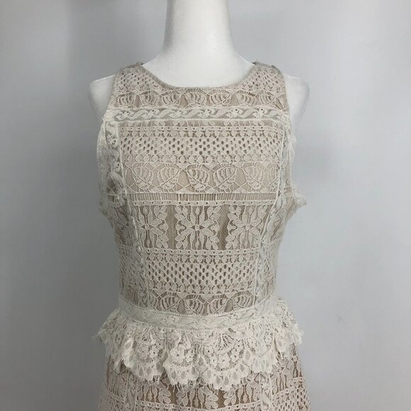NWT ALL SAINTS Lace Pattern Melia  Mini Dress in oyster white Size 6 - Picture 5 of 16